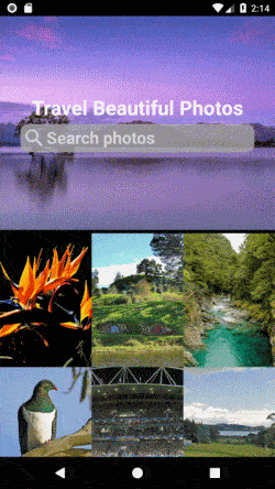 KotlinPhotoMVP screenshot